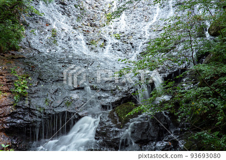Shiraito Falls, Daisen City, Akita Prefecture, an ancient training ground 93693080