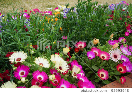 Various flowers Various flowers 93693948