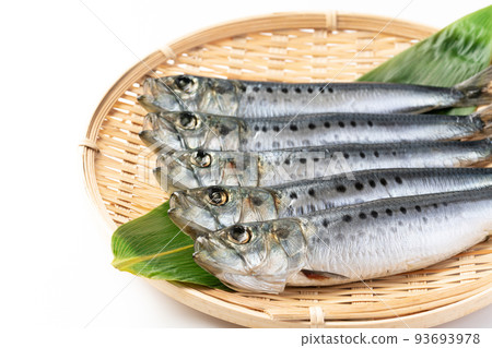 沙丁魚乾 沙丁魚乾 93693978