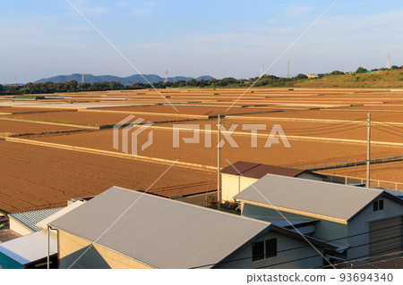 農場外等待種植的田地 農場外等待種植的田地 93694340