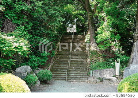 被稱為“小松寺樟樹”的巨大樟樹(香川縣水豐市) 被稱為“小松寺樟樹”的巨大樟樹(香川縣水豐市) 93694580