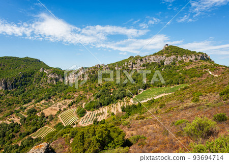 Cultivation of a vineyard in the mountains. Agriculture. 93694714