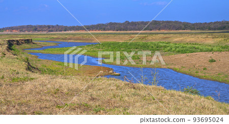 River, Kaudulla National Park, Sri Lanka River, Kaudulla National Park, Sri Lanka 93695024