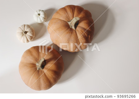 Autumn vegetable composition. Fresh food still life made of small white and orange pumpkins iolated on beige table background. Fall, Halloween and Thanksgiving design. Flat lay, top view. Copy space. Autumn vegetable composition. Fresh food still life made of small white and orange pumpkins iolated on beige table background. Fall, Halloween and Thanksgiving design. Flat lay, top view. Copy space. 93695266
