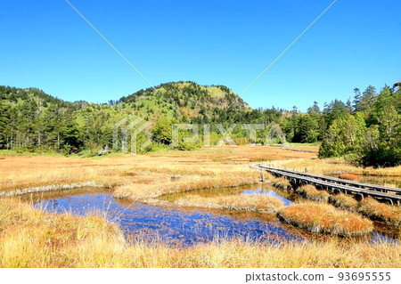 志賀高原和十重八池的紅葉 志賀高原和十重八池的紅葉 93695555