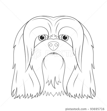 Lhasa Apso dog easy coloring cartoon vector illustration. Isolated on white background Lhasa Apso dog easy coloring cartoon vector illustration. Isolated on white background 93695716