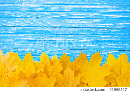 Autumn leaves frame on wooden background top view Fall Border yellow and Orange Leaves vintage wood table Copy space for text. Autumn leaves frame on wooden background top view Fall Border yellow and Orange Leaves vintage wood table Copy space for text. 93696837