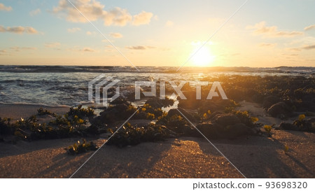 Sun over horizon and  rolling ocean waves to the shore while sunset during tide.  Beautiful natural landscape with water,  sandy beach  and green plants during low tide. Beautiful wild nature. 93698320