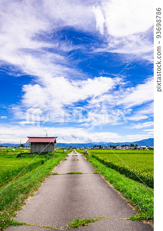 A road that runs straight through the countryside A road that runs straight through the countryside 93698786