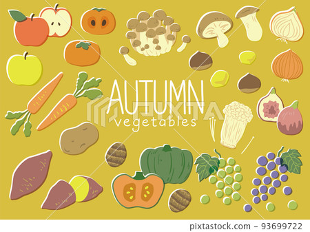 Autumn vegetable illustration set Autumn vegetable illustration set 93699722