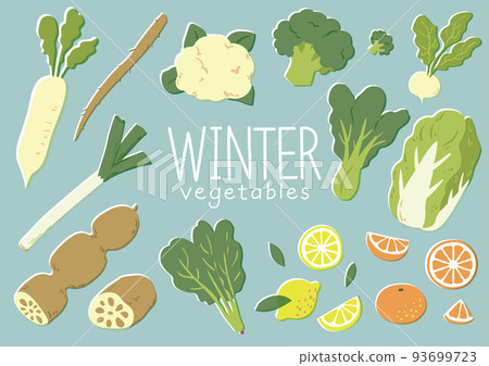 冬季蔬菜插圖集 冬季蔬菜插圖集 93699723