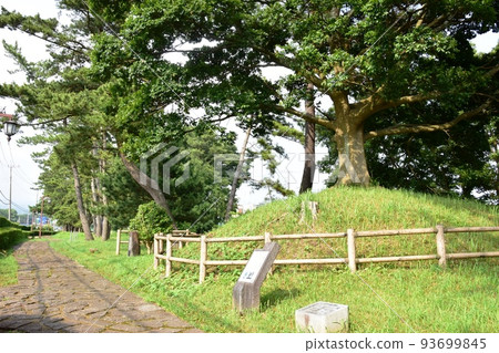 三島市西北市一塚、初音原松、箱根古道石鋪 93699845