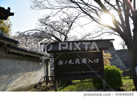 日本大阪府,春天的大阪城,盛開的櫻花和城牆,指示牌上寫著西之丸花園入口 日本大阪府,春天的大阪城,盛開的櫻花和城牆,指示牌上寫著西之丸花園入口 93699895
