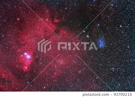 Astrophotography of diffused nebulae NGC2264 and IC2169 in Monoceros Astrophotography of diffused nebulae NGC2264 and IC2169 in Monoceros 93700218