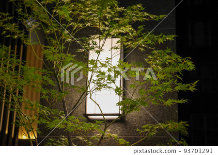 Sightseeing in Kyoto, storefront at night with autumn leaves Sightseeing in Kyoto, storefront at night with autumn leaves 93701291