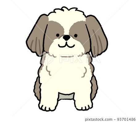 坐在棕色西施犬 93701486