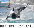 Kamogawa Sea World Killer Whale Show Kamogawa Sea World Killer Whale Show 93701514