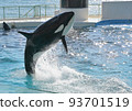 Kamogawa Sea World Killer Whale Show Kamogawa Sea World Killer Whale Show 93701519