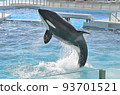 Kamogawa Sea World Killer Whale Show Jumping Killer Whale Kamogawa Sea World Killer Whale Show Jumping Killer Whale 93701521