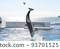 Kamogawa Sea World Killer whale show Killer whale jumping high Kamogawa Sea World Killer whale show Killer whale jumping high 93701525