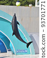kamogawa sea world dolphins dolphin show splashes jump high keepers school excursion kamogawa sea world dolphins dolphin show splashes jump high keepers school excursion 93701771