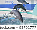 kamogawa sea world dolphins dolphin show splashes jump high keepers school excursion kamogawa sea world dolphins dolphin show splashes jump high keepers school excursion 93701777