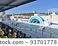 kamogawa sea world dolphins dolphin show splashes jump high keepers school excursion kamogawa sea world dolphins dolphin show splashes jump high keepers school excursion 93701778