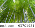  Bamboo grove 93701921