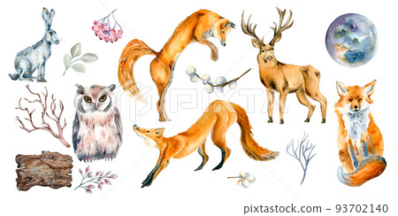 Set of wild animals and forest plants watercolor illustration isolated on white. Set of wild animals and forest plants watercolor illustration isolated on white. 93702140