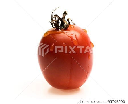 Tomato berry with water drops, close up. Summer harvest vegetable Tomato berry with water drops, close up. Summer harvest vegetable 93702690
