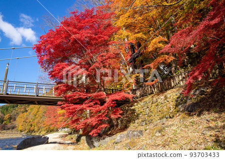 Nasushiobara Crimson Suspension Bridge Autumn Leaves Nasushiobara Crimson Suspension Bridge Autumn Leaves 93703433