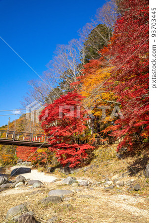 Nasushiobara Crimson Suspension Bridge Autumn Leaves 93703445