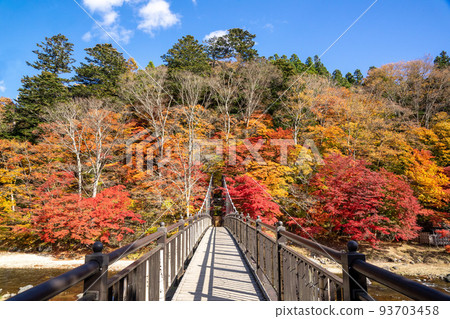 Nasushiobara Crimson Suspension Bridge Autumn Leaves 93703458