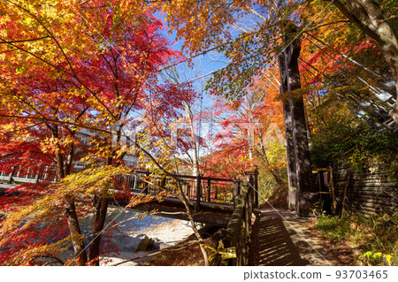 那須鹽原深紅吊橋秋葉 93703465