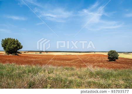 Red soil, remote rural landscape near Caleruega in Burgos province, Spain 93703577