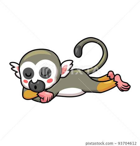 Cute little squirrel monkey cartoon sleeping Cute little squirrel monkey cartoon sleeping 93704612