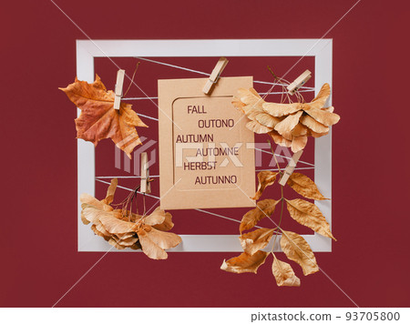 Autumn text in different languages on card, Autumn composition with maple leaf Autumn text in different languages on card, Autumn composition with maple leaf 93705800