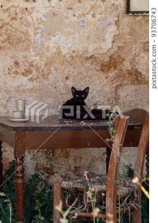Black cat resting on a table against a decayed wall. Black cat resting on a table against a decayed wall. 93706743