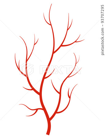 Human veins. Red silhouette vessel, arteries or capillaries on white background. Concept anatomy element for medical science. Vector isolated symbol of blood system Human veins. Red silhouette vessel, arteries or capillaries on white background. Concept anatomy element for medical science. Vector isolated symbol of blood system 93707295