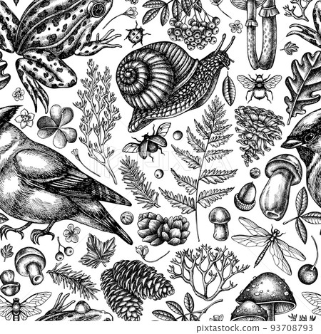 Mysterious forest seamless pattern background design. Engraved style. Hand drawn waxwing, snail, pool frog, moss, spruce branch, pine cones, mushrooms, insect, porcini, oak, rowan, clover, fern. 93708793