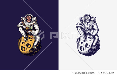 Monkey astronaut sitting on the moon. Chimpanzee spaceman cosmonaut. Fashionable animal character Monkey astronaut sitting on the moon. Chimpanzee spaceman cosmonaut. Fashionable animal character 93709386