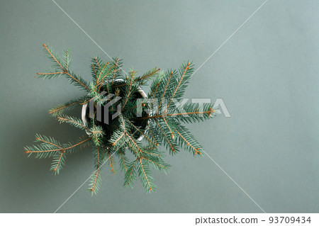 The concept is green. Bouquet of fir branches in a pot on a green background 93709434