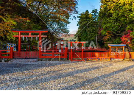 World Heritage Site "Shrines and Temples of Nikko" Constituent Assets Shinkyo Bridge and Autumn Leaves in the Morning World Heritage Site "Shrines and Temples of Nikko" Constituent Assets Shinkyo Bridge and Autumn Leaves in the Morning 93709820