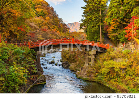 World Heritage Site "Shrines and Temples of Nikko" Constituent Assets Shinkyo Bridge and Autumn Leaves in the Morning 93709821