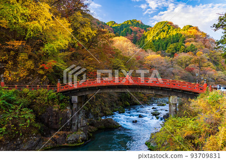 World Heritage Site "Shrines and Temples of Nikko" Constituent Assets Shinkyo Bridge and Autumn Leaves in the Morning 93709831