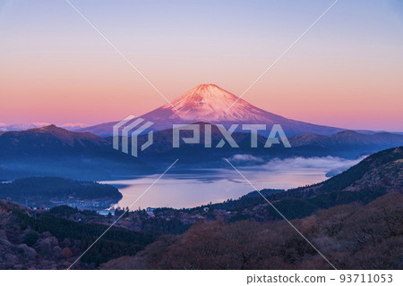 (Kanagawa Prefecture) Dawn of Mt. Fuji seen from Mt. Taikanzan in Hakone (Kanagawa Prefecture) Dawn of Mt. Fuji seen from Mt. Taikanzan in Hakone 93711053