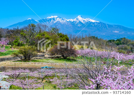 山梨縣韭崎市新風桃源鄉～殘雪桃花八岳比賽～ 93714160