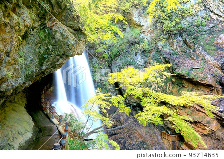 秋天秋天的秋天 93714635