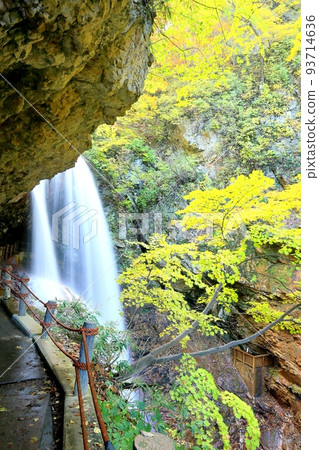 秋天秋天的秋天 93714636