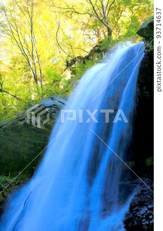 秋天秋天的秋天 93714637